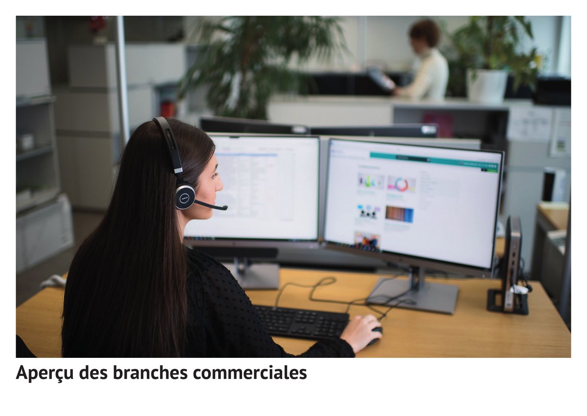 Aperçu des branches commerciales