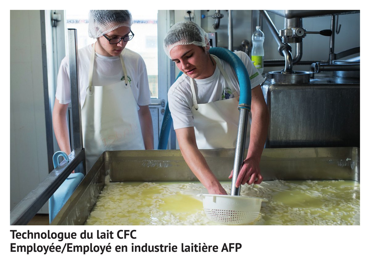 Te­chno­lo­gue du lait CFC, em­ployée/em­ployé en in­dus­trie lai­tiè­re AFP