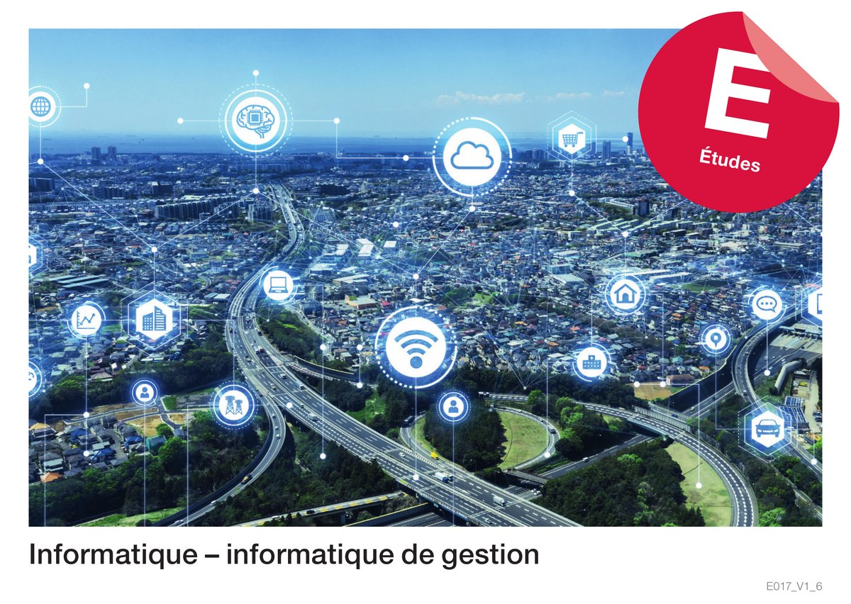 Infor­ma­ti­que – infor­ma­ti­que de ges­tion (E­tu­des) 