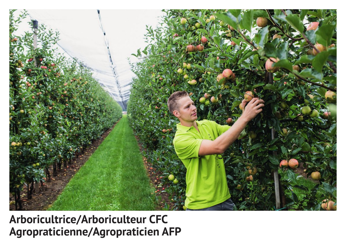 Ar­bo­ri­cul­tri­ce/ar­bo­ri­cul­teur CFC, agro­pra­ti­cienne/agro­pra­ti­cien AFP