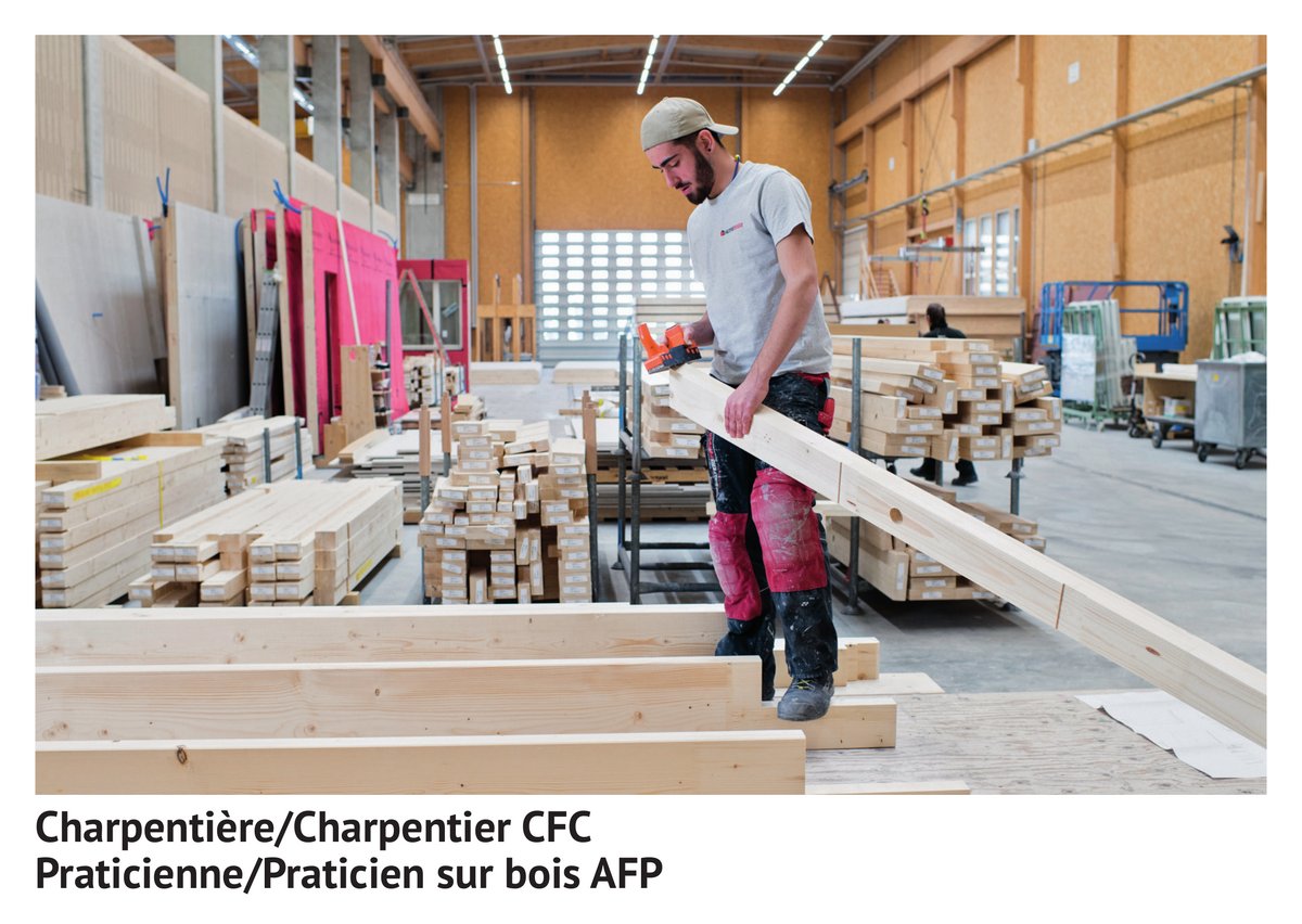 Char­pen­tiè­re/char­pen­tier CFC, pra­ti­cien­ne/pra­ti­cien sur bois AFP