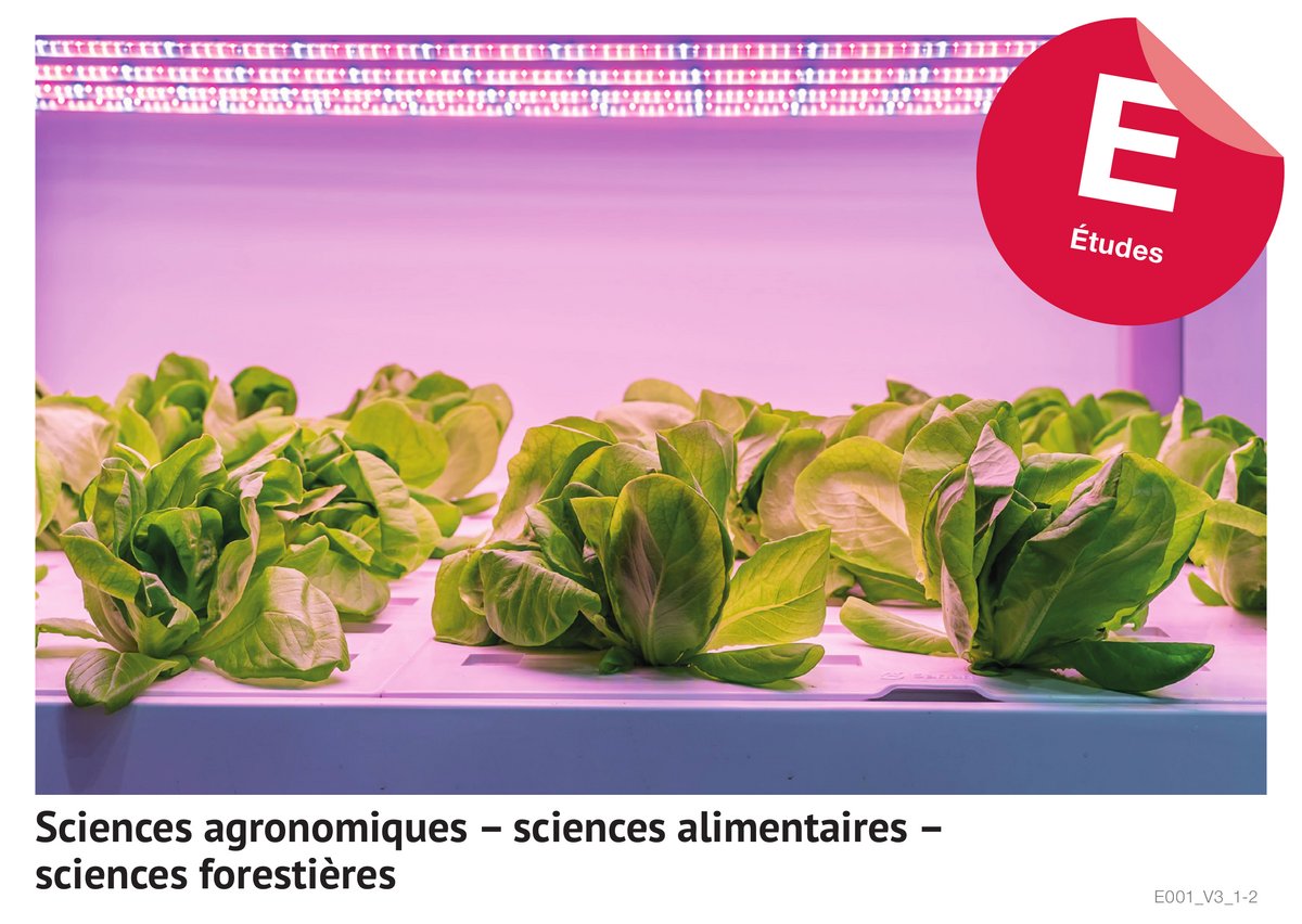 Sciences agronomiques - sciences alimentaires - sciences forestières (Etudes)