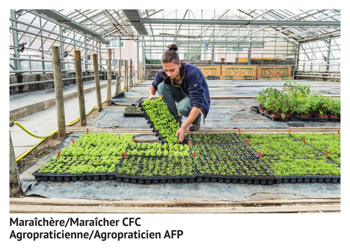 Ma­raî­chè­re/ma­raî­cher CFC, agro­pra­ti­cien­ne/agro­pra­ti­cien AFP