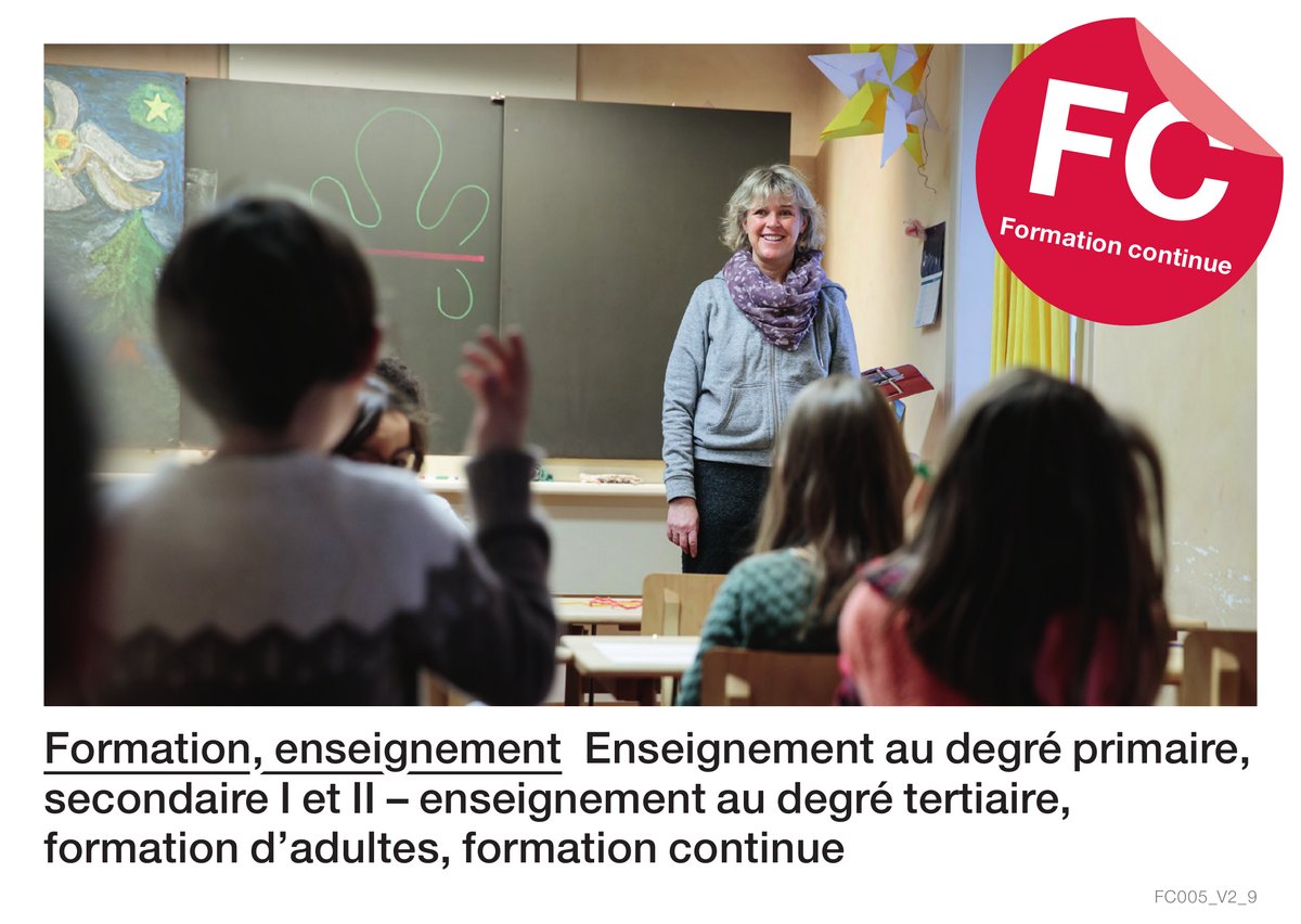 Formation, enseignement : enseignement au degré primaire, secondaire I et II – enseignement au degré tertiaire, formation d’adultes, formation continue (Formation continue)