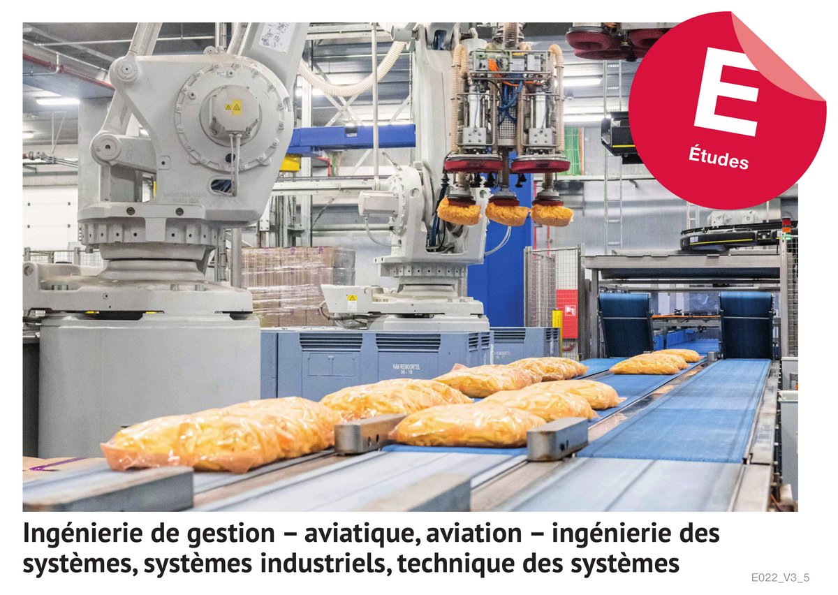 Ingénierie de gestion - aviatique, aviation - ingénierie des systèmes, systèmes industriels, technique des systèmes (Etudes)