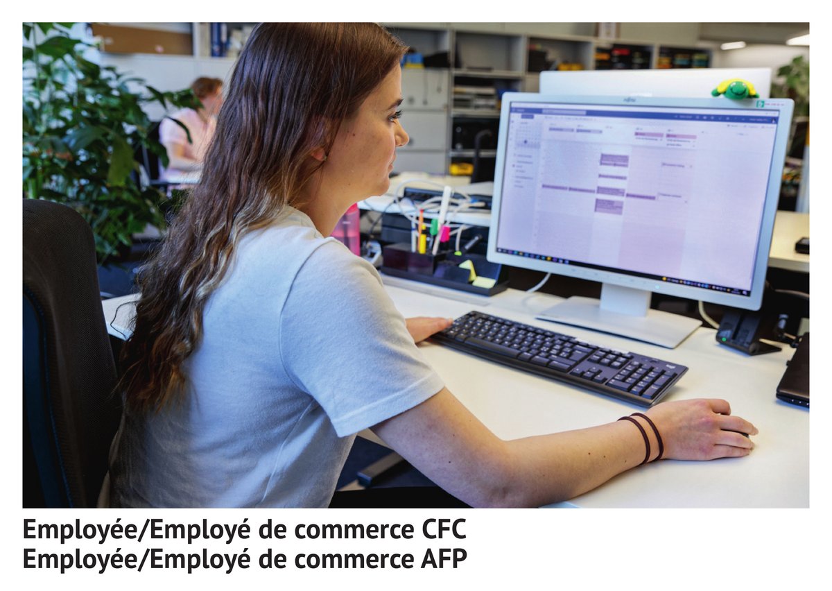 Employée/employé de commerce CFC, employée/employé de commerce AFP