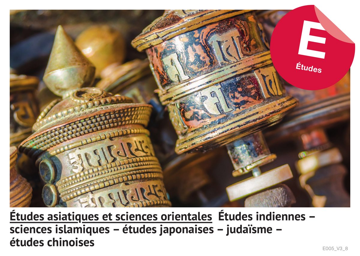 Etudes asiatiques et sciences orientales : Études indiennes - sciences islamiques - études japonaises - judaïsme - études chinoises (Etudes)